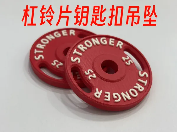 https://makerworld.bblmw.com/makerworld/model/US9fdd708ee07188/design/2025-07-21_75be5edaeef488.png
