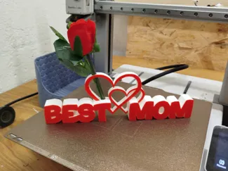 Best-Mom