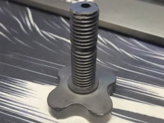 SWING BOLT