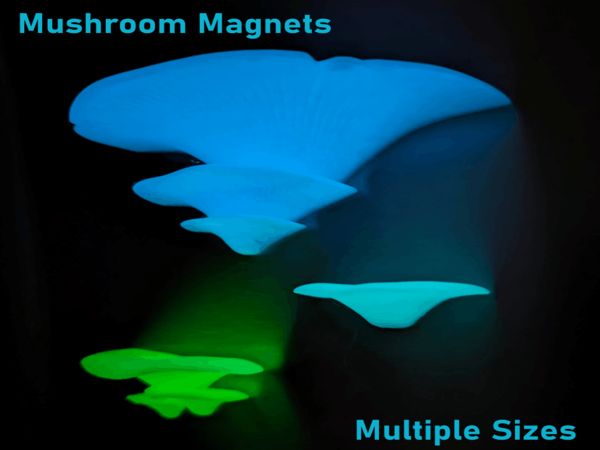 https://makerworld.bblmw.com/makerworld/model/US9fe9e2841d975b/design/2024-01-29_2332e966b51058.gif