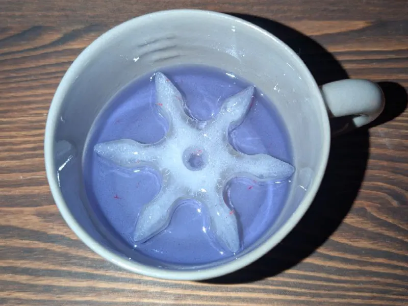 Ninja star ice cube mold