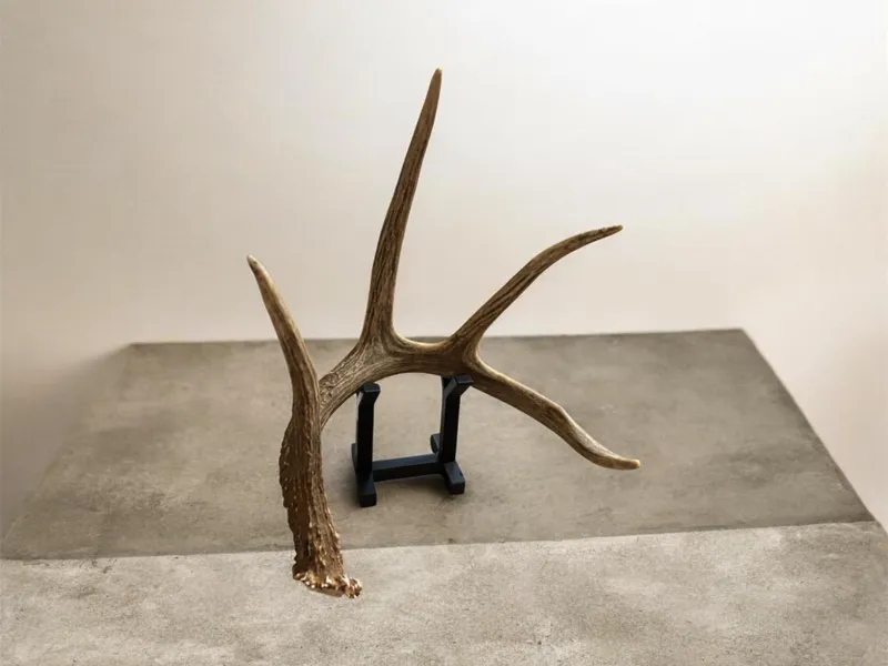 Simple Display Stand
