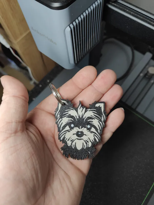 https://makerworld.bblmw.com/makerworld/model/US9fef2fe28ca719/design/2024-01-06_ae044b169954a.jpg
