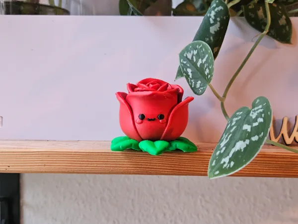 https://makerworld.bblmw.com/makerworld/model/US9fefca641b5486/design/446e8fb5c409089b.jpg