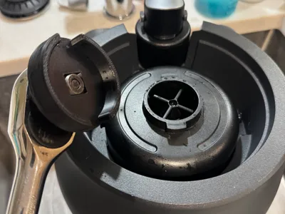 Pinter cap removal tool