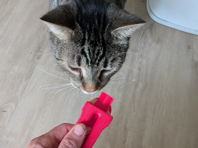 Dispenser for Lickable Cat Treats for 2 cats