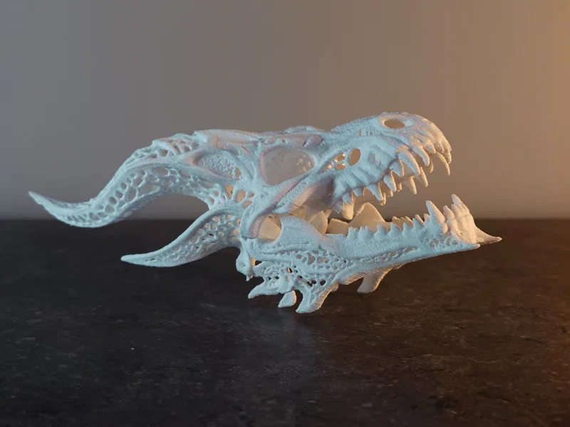 Crâne de Dragon Ancestral