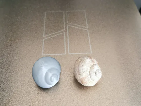 https://makerworld.bblmw.com/makerworld/model/US9ff50582153030/design/2025-02-17_f45715b976cc8.jpeg