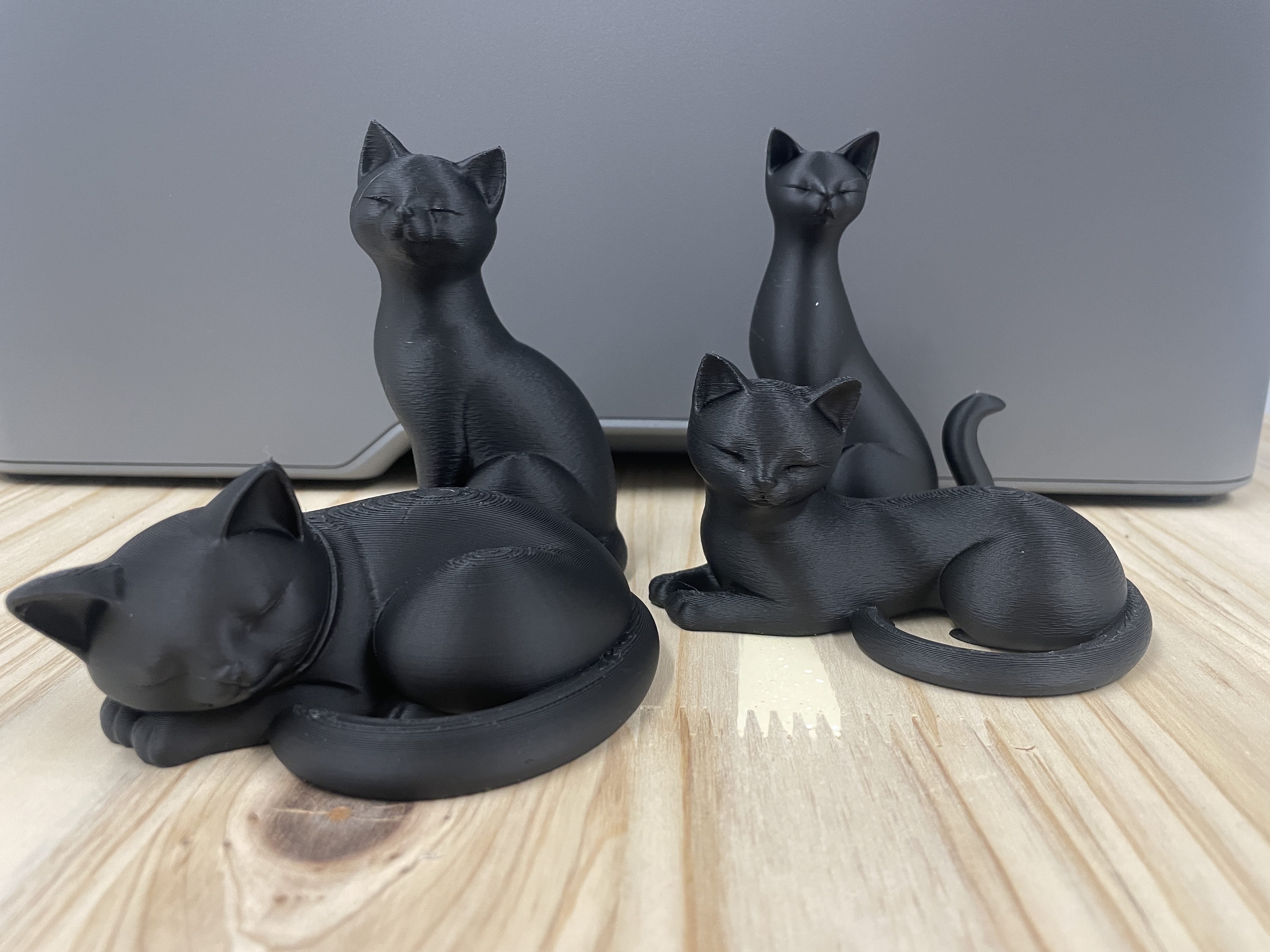 Fuzzy Cats