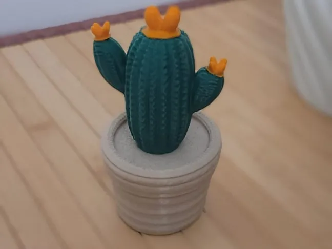 cactus colori