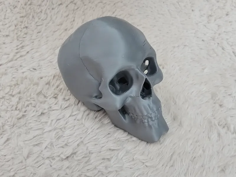 Metal Skull 