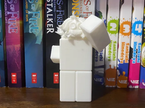https://makerworld.bblmw.com/makerworld/model/US9ff938c24f367/design/2025-01-03_24e49eda7a91c.jpeg