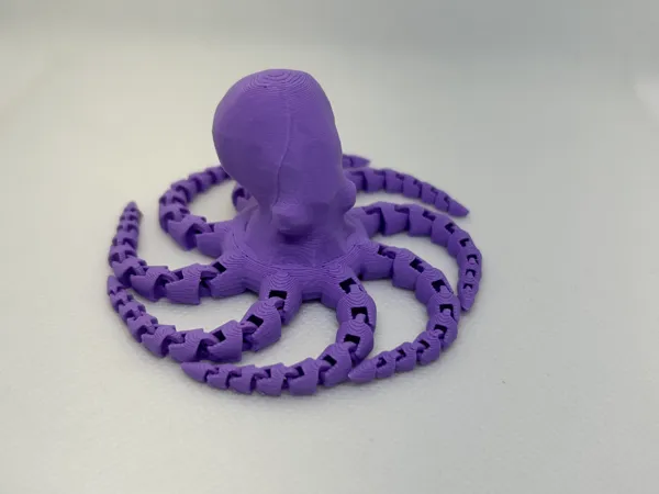 https://makerworld.bblmw.com/makerworld/model/US9ffab0835c529/design/2025-01-31_a0ae5c3ee08be.jpeg