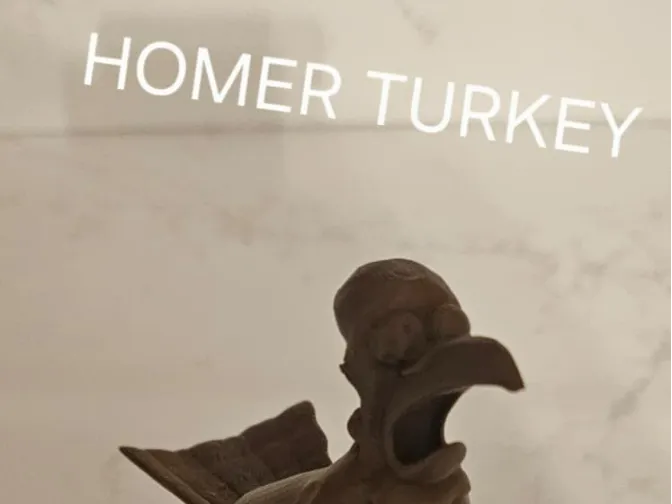 Homer Simpson Turkey (From Episode S 31, E 8)