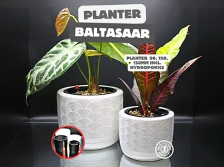 "Baltasaar" Planter – Waves of Style