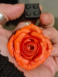 AMS_0.16mm layer, 2 walls, 15% infill