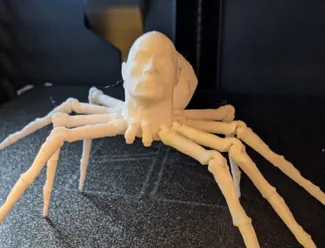 Articulated rock head spider