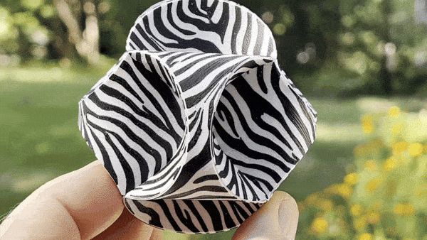 https://makerworld.bblmw.com/makerworld/model/USa0093864e0f025/design/2024-10-11_79a51a252fe338.gif
