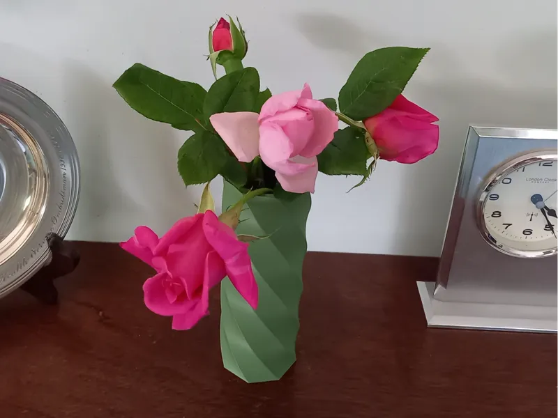 Parametric twisted vase
