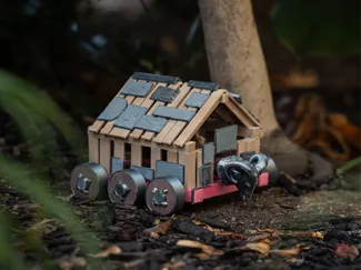 Age of Empires Siege Ram