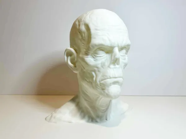 https://makerworld.bblmw.com/makerworld/model/USa00e04a9977664/design/2025-10-14_d785b6511fb428.jpg