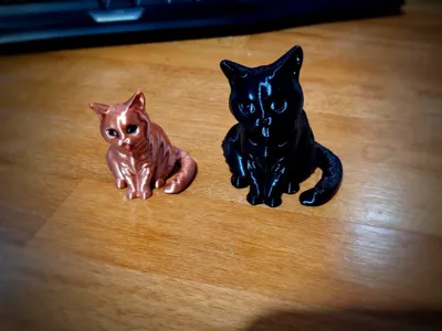 Funny Cat