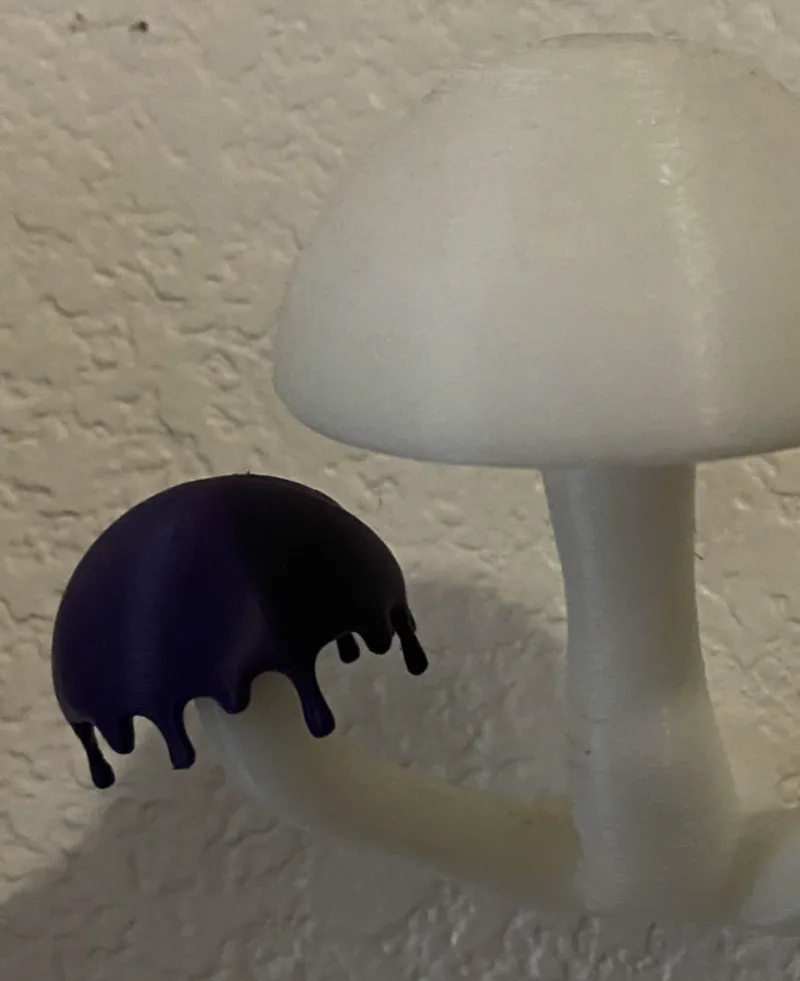 Ink Cap Mushroom Top 