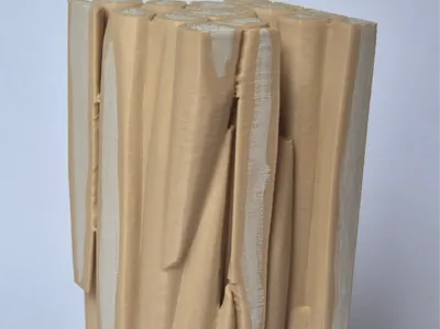 Sclerenchyma fibres plant tissue model