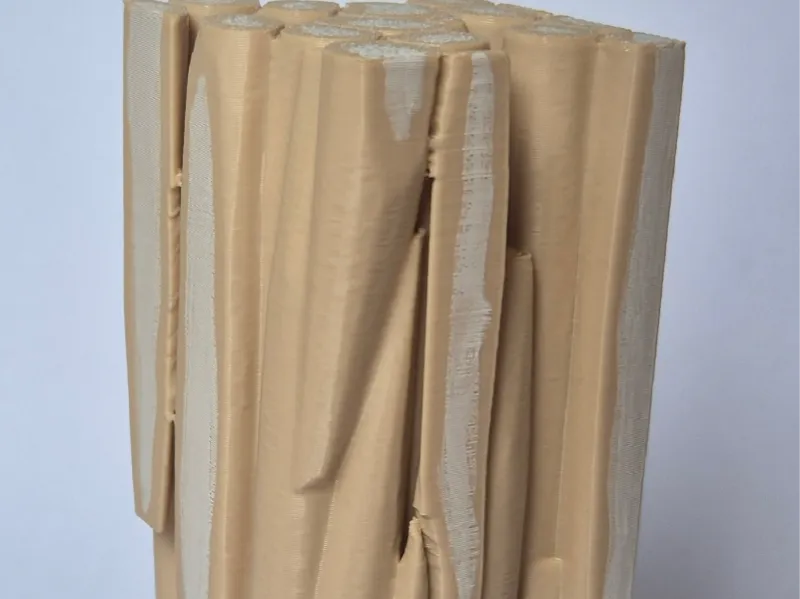 Sclerenchyma fibres plant tissue model