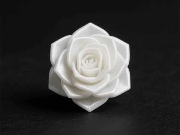 https://makerworld.bblmw.com/makerworld/model/USa0211b7cee95b7/design/2026-01-14_1a87c2135625.webp