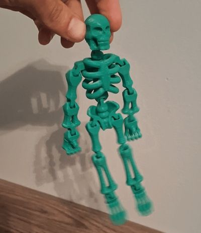 PIP Flexi Skeleton
