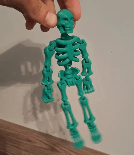 Squelette flexible imprimé en une pièce (PIP)