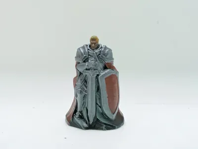 human paladin knight