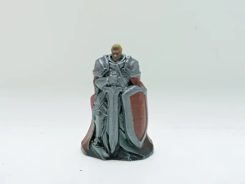 human paladin knight