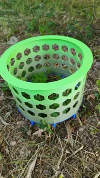 Cache plante de protection — photo 3