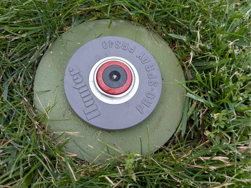 Sprinkler Schutz Hunter / sprinkler protection