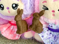 P2S