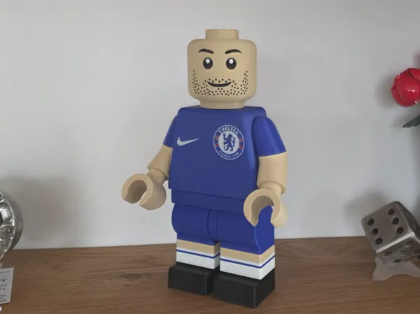 https://makerworld.bblmw.com/makerworld/model/USa0303989727495/design/6a2fff4aacc4551d.jpg