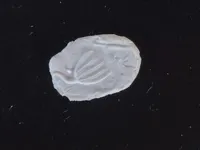 0.2mm 层高, 2 层墙, 10% 填充