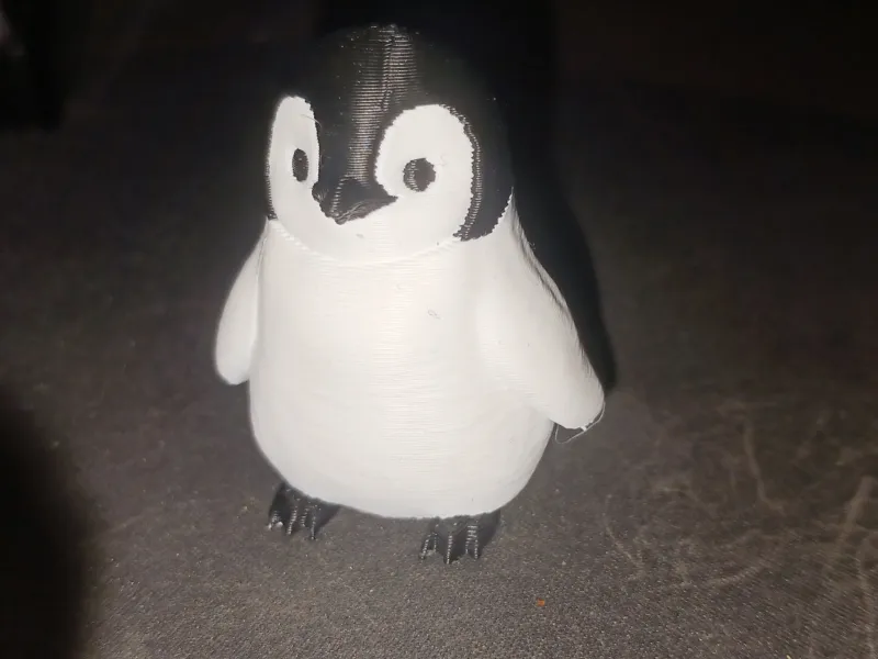 baby penguin
