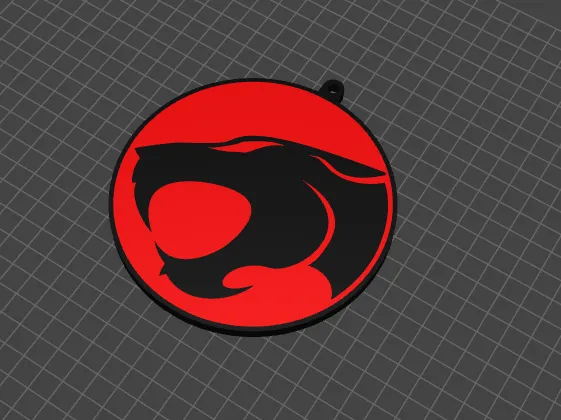 3D printed Thundercatskeychain