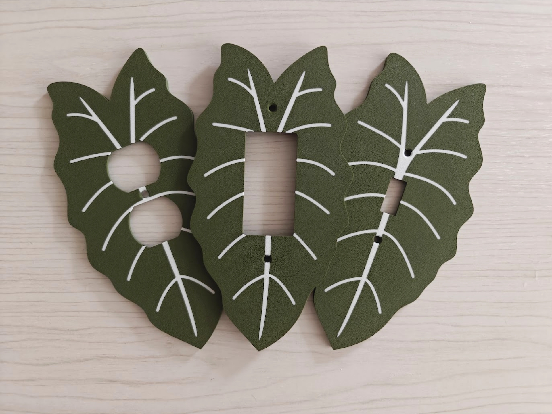 Alocasia wall plates