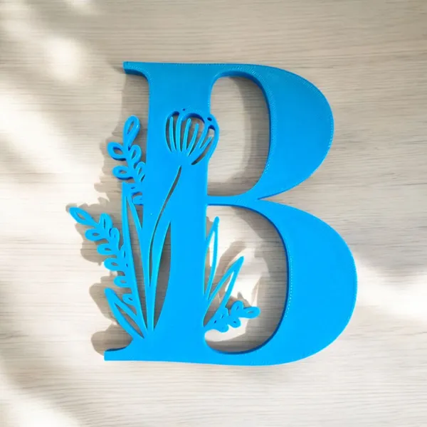 https://makerworld.bblmw.com/makerworld/model/USa041a7c6f507ff/design/2025-01-19_9c2e29cc05abf.jpg