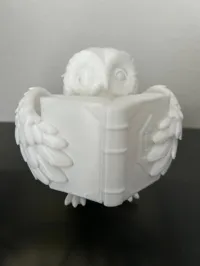 0.16mm layer, 3 walls, 5% infill