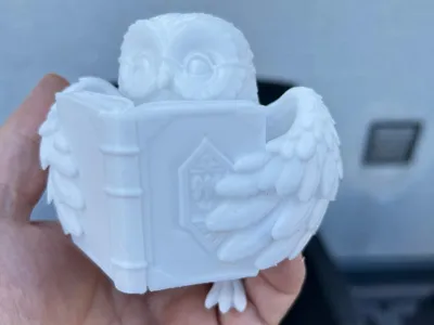 Reading Owl – The Reading Owl