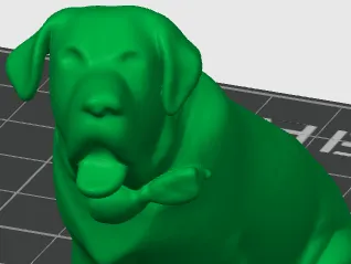 Labrador