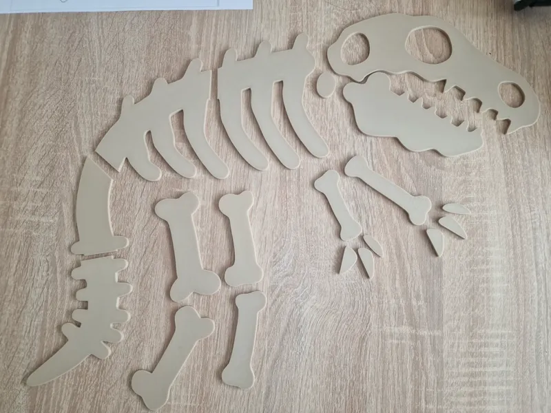 Dinosaur Bone Puzzle