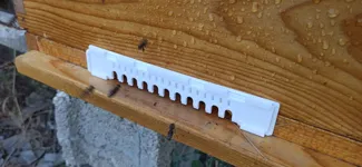 Beehive entrance reducer