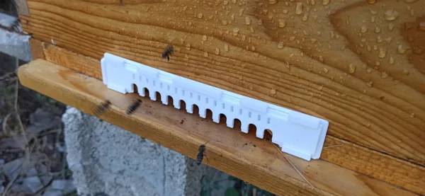 https://makerworld.bblmw.com/makerworld/model/USa046064066c9d5/design/2023-09-29_8r1h3e8eth0y.jpg