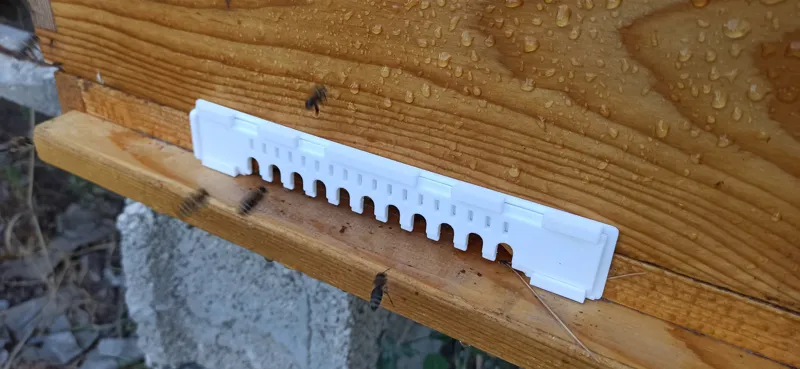 Beehive entrance reducer